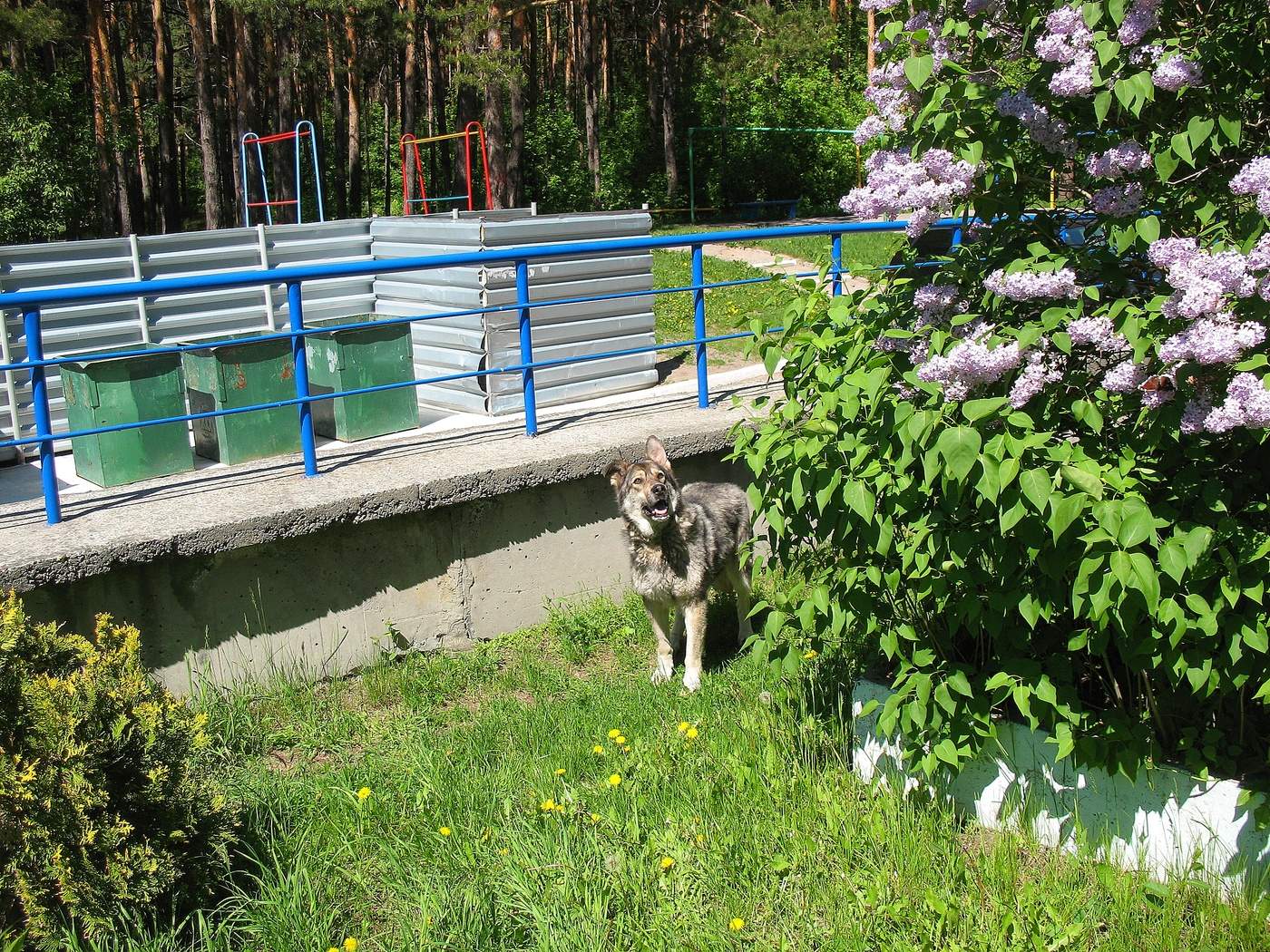 Лето, привет