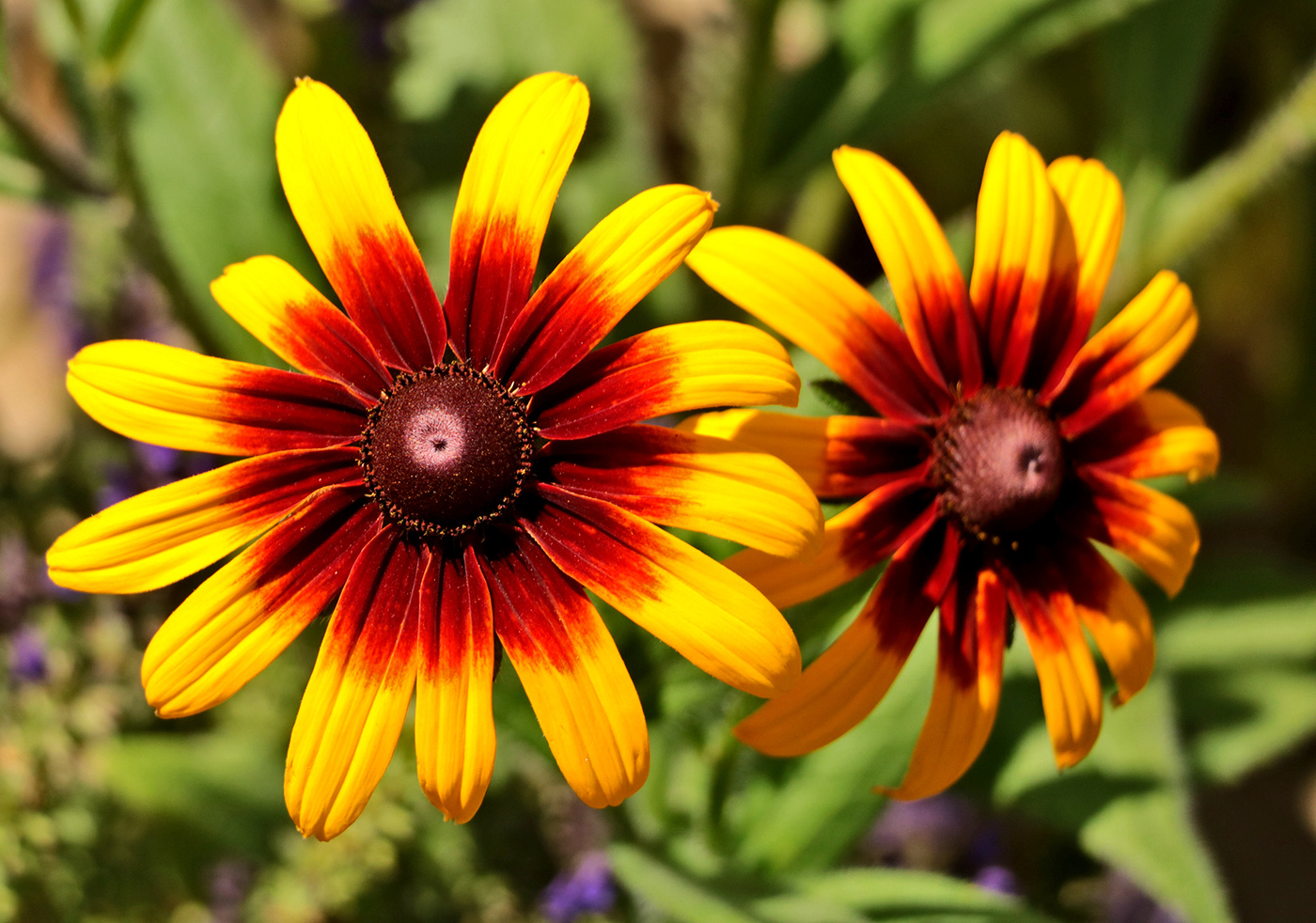 Лето, привет