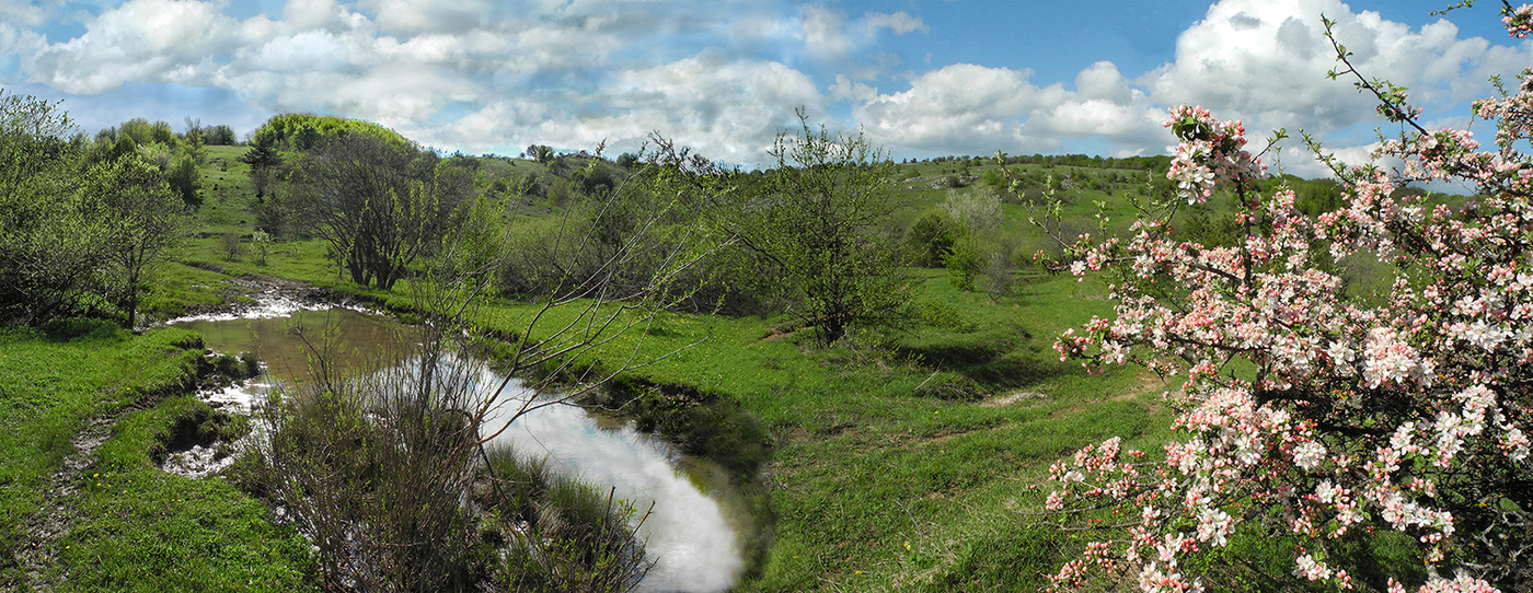 Весенний Этюд