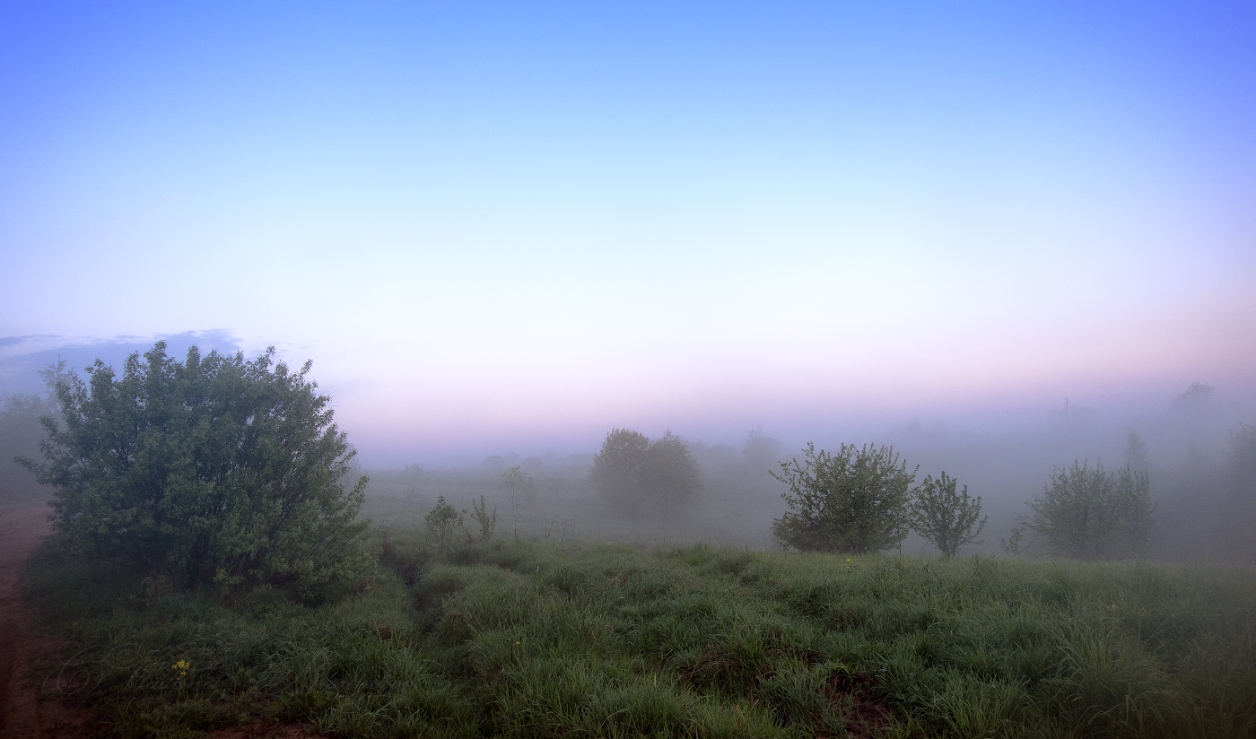 Утопая в туманной пелене...