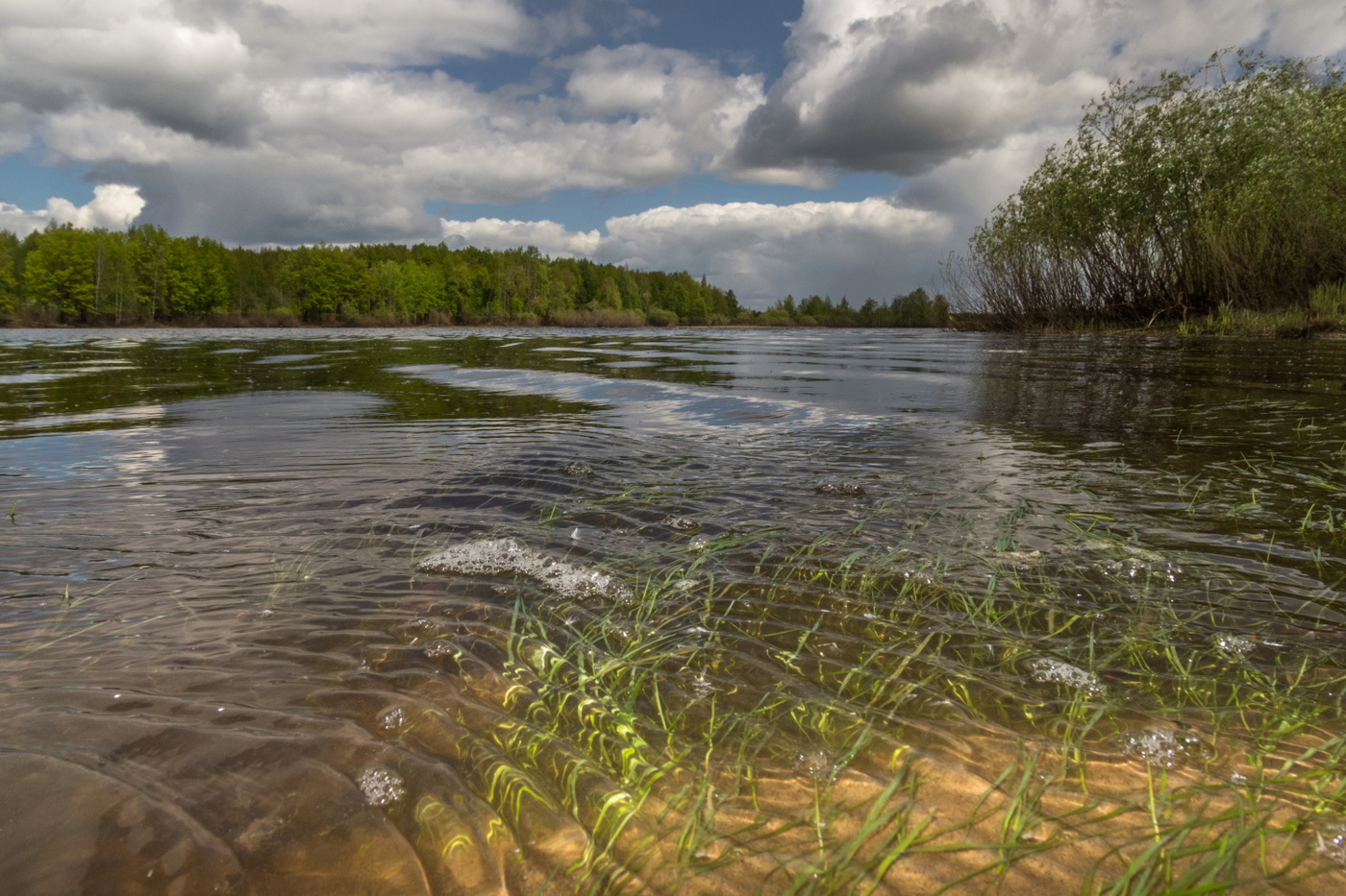 Июньский день