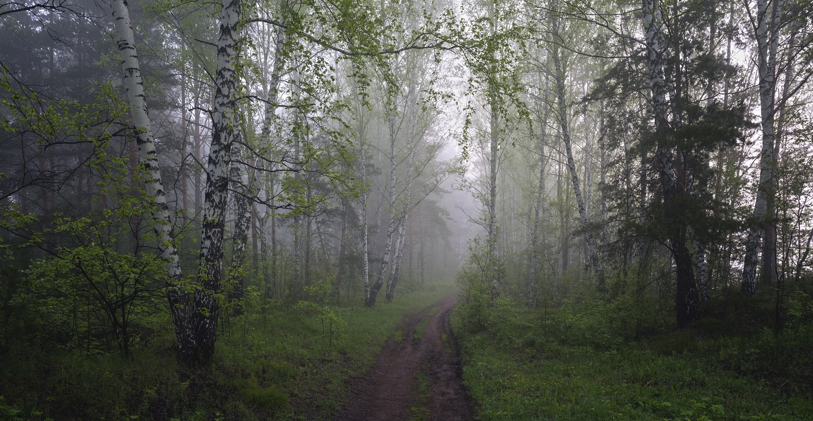 Утренний туман.