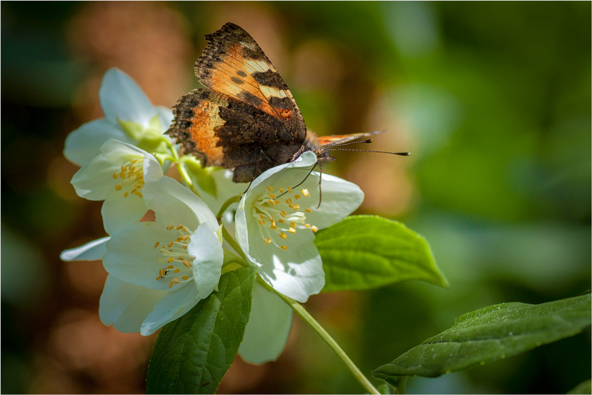 Дозаправка