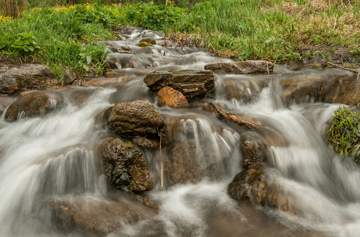 Летний ручей...