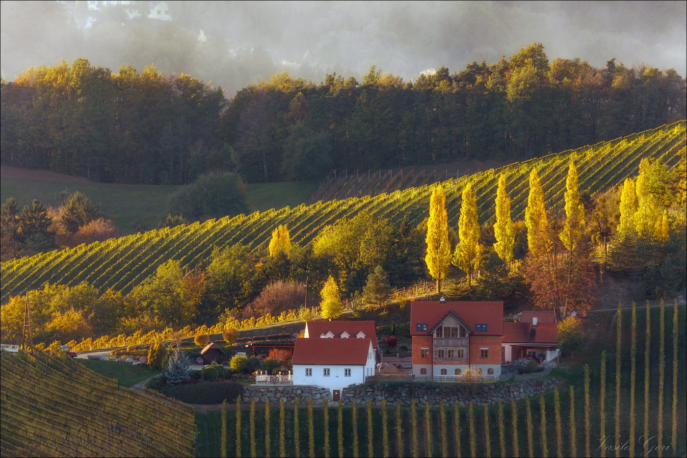 Осенние зарисовки