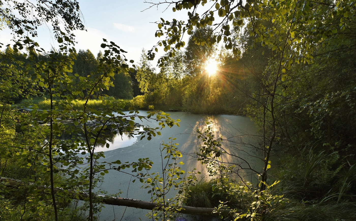 День уходил ...