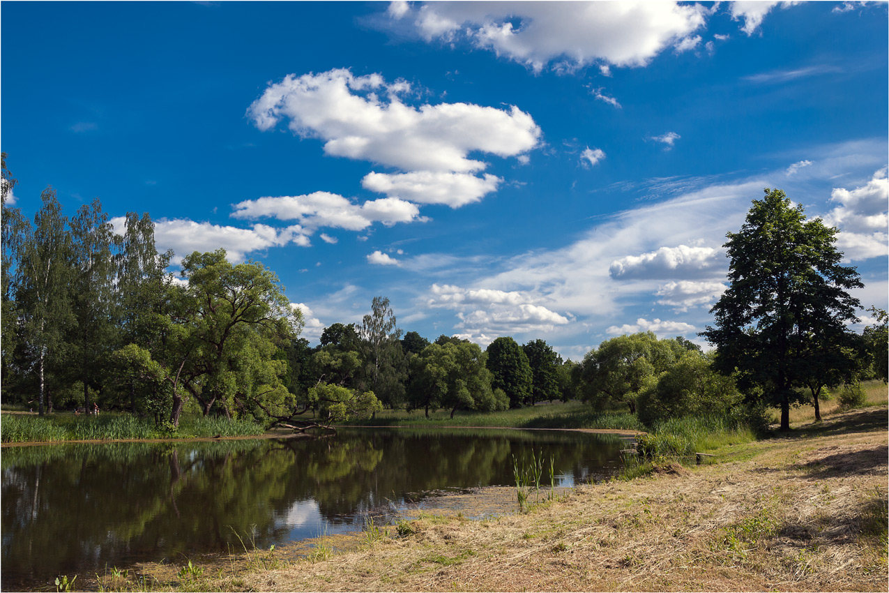 Пейзаж из Вязынки