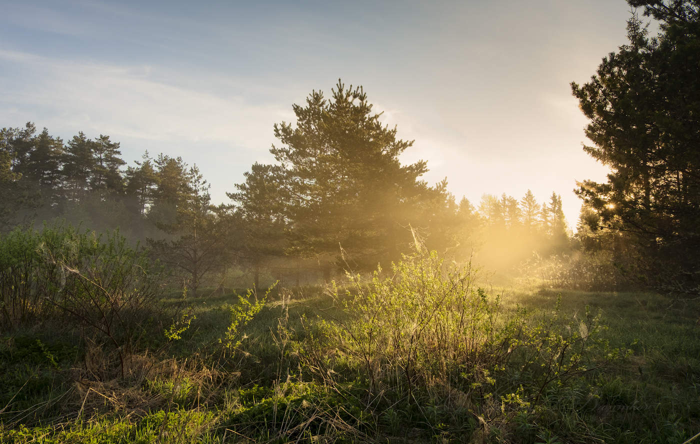 Доброго утра!!!