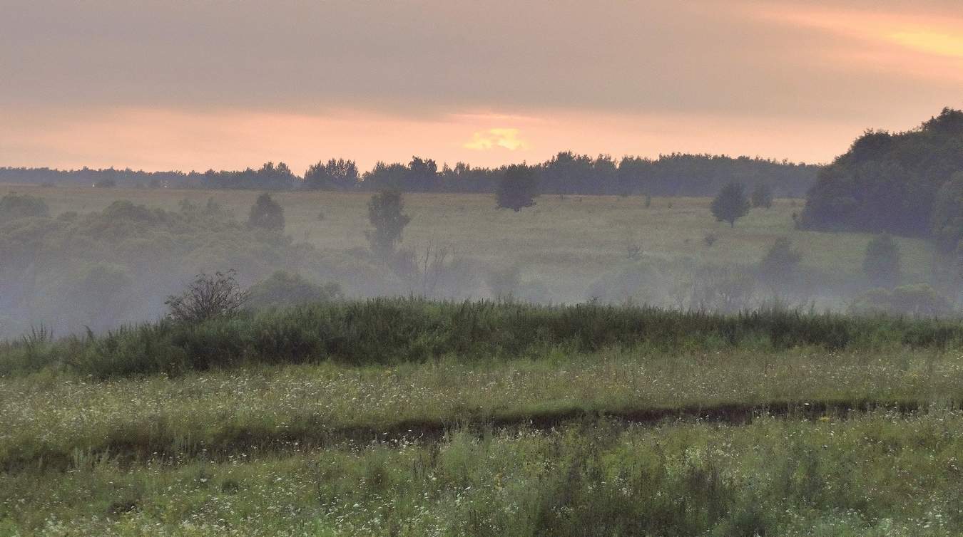 Летние туманы