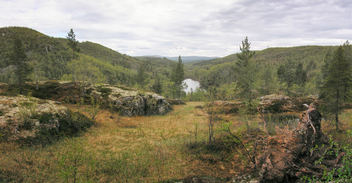 Северное лето
