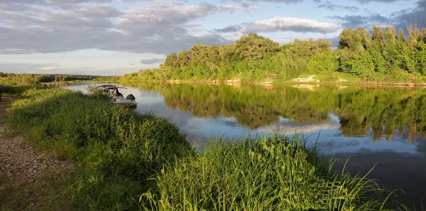 летний вечер
