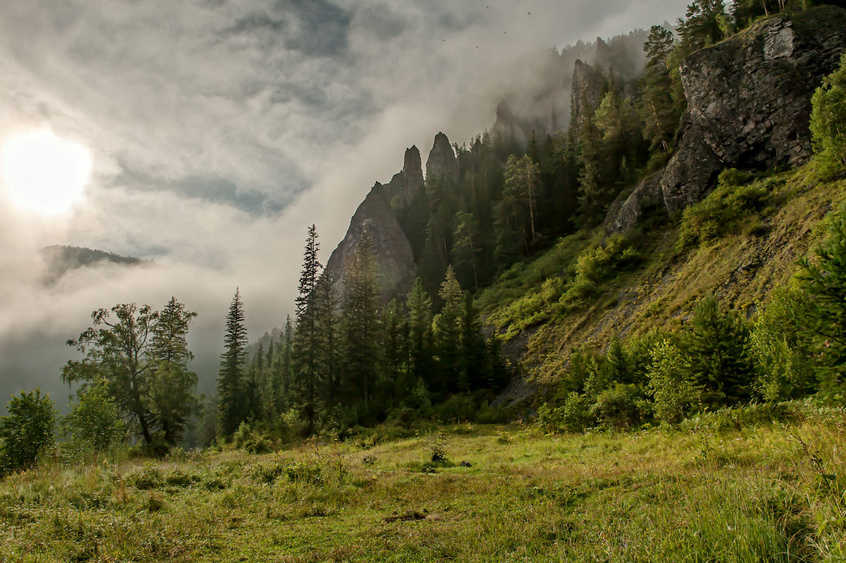 Утро с туманом...