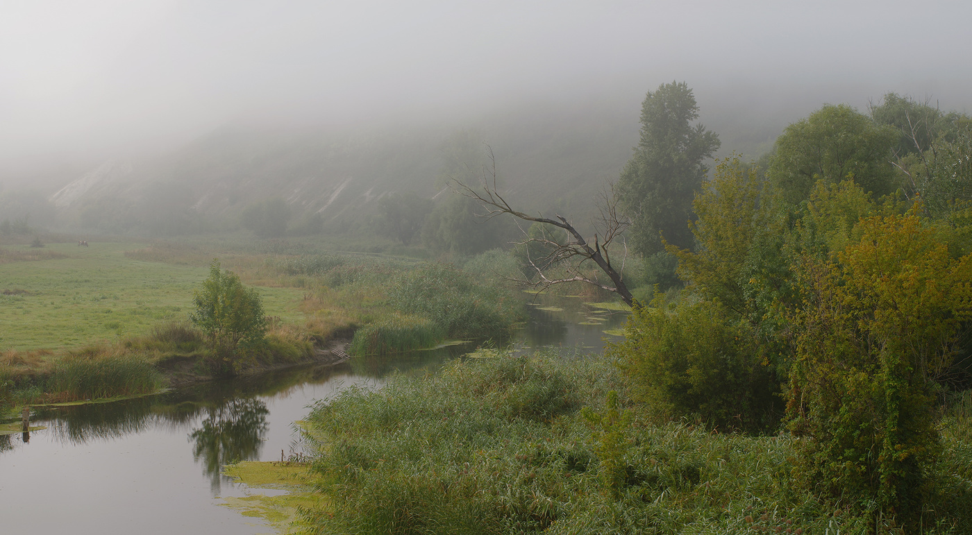 Айдар в тумане
