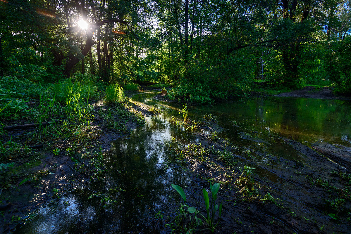 Бездорожье...