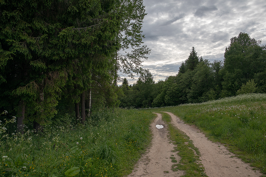 Ярославская сторонка