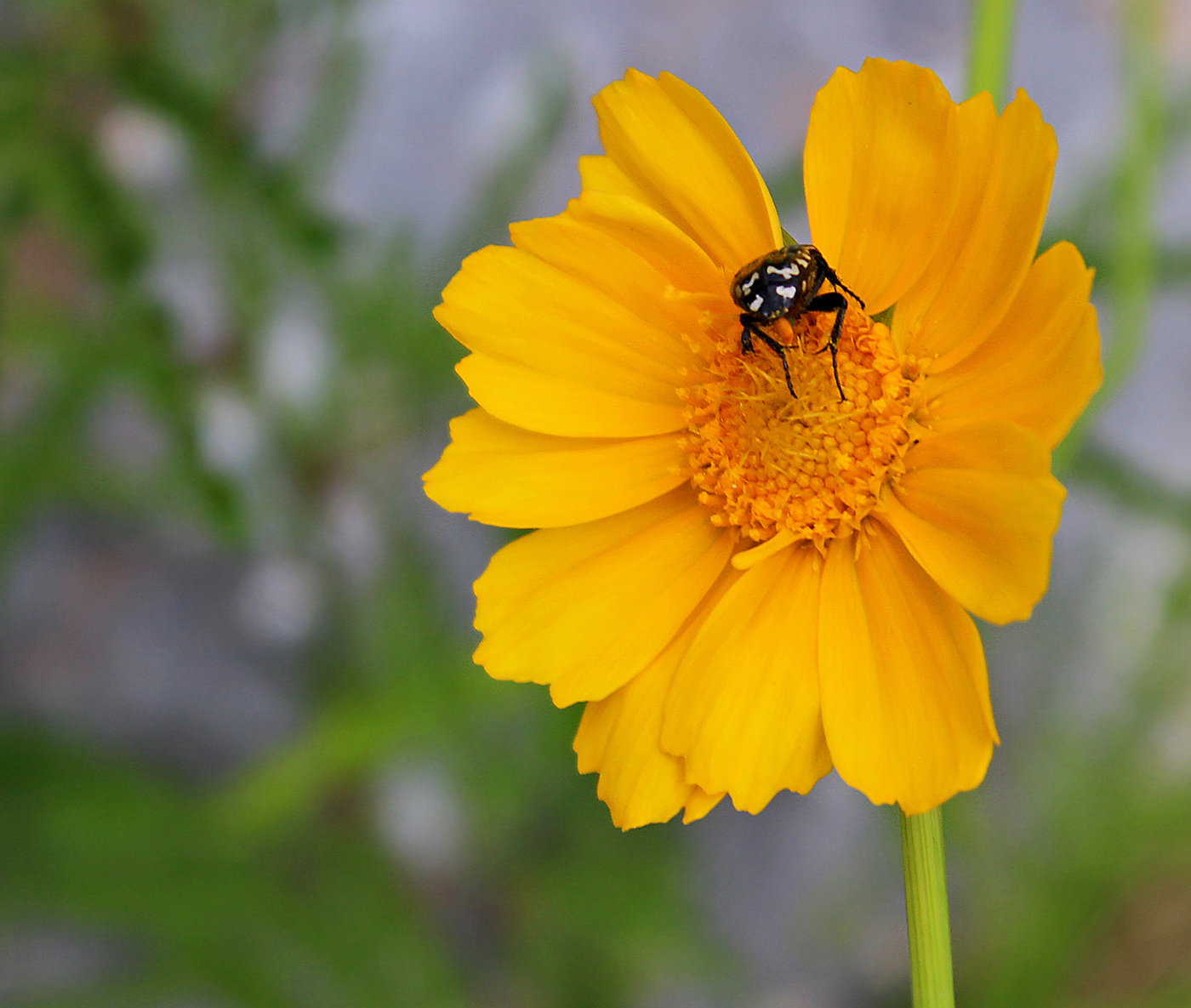Злые вы, ухожу я от вас...
