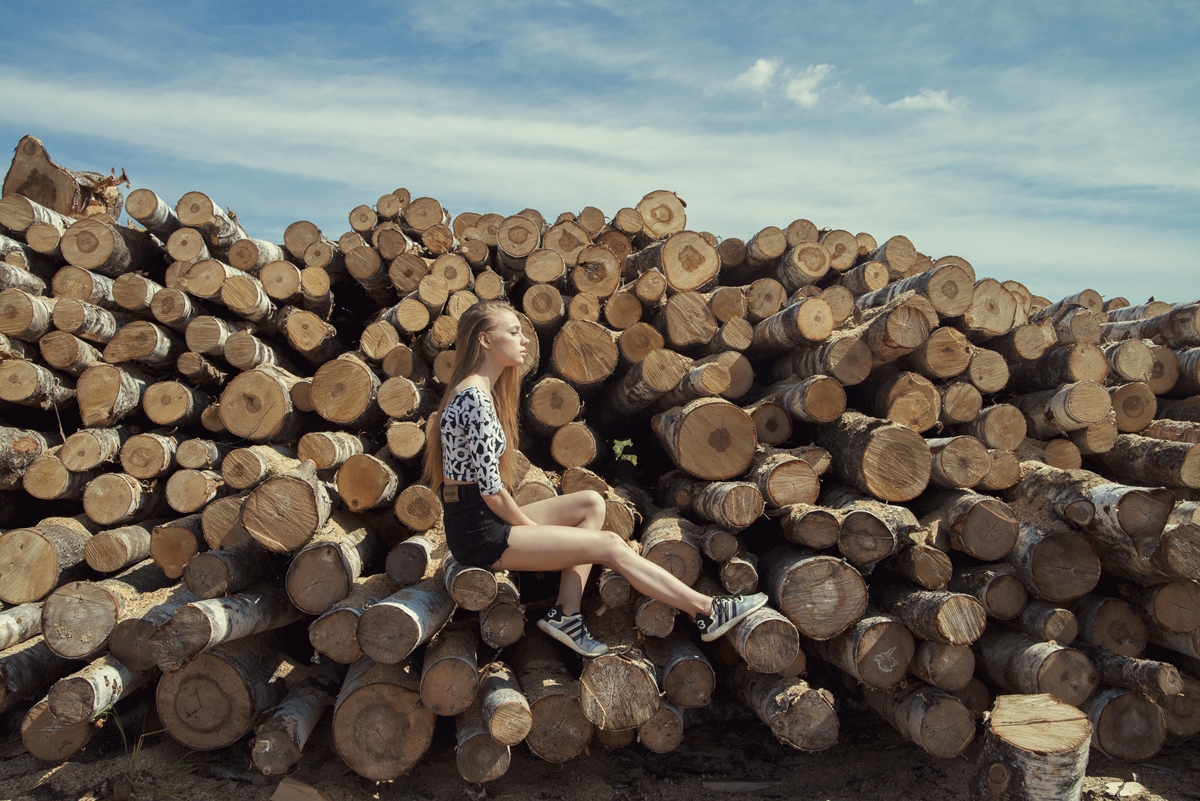 На лесопилке