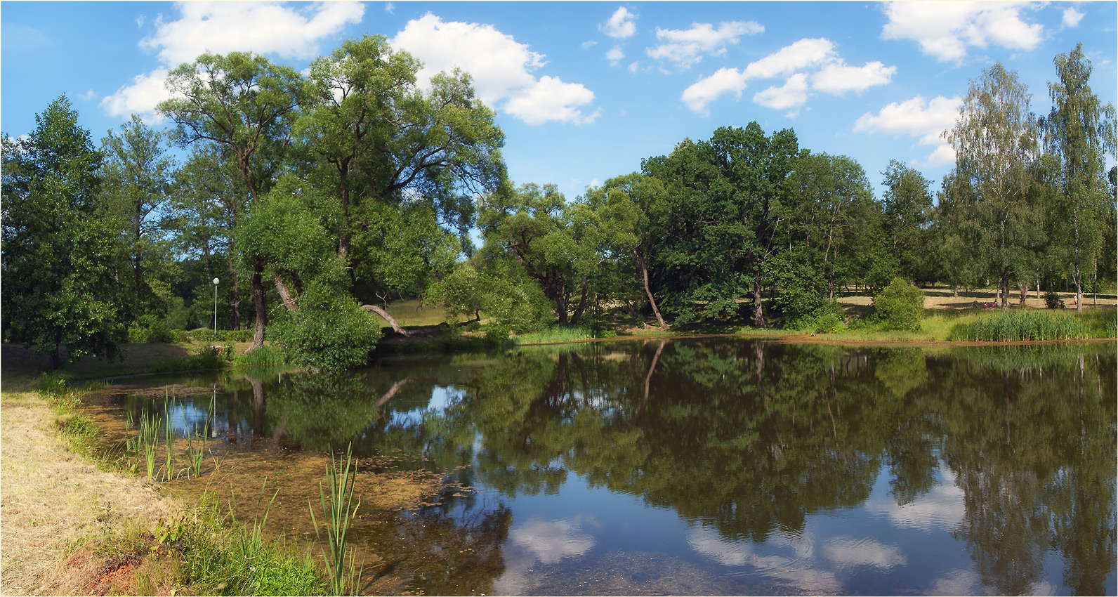 Живописные пейзажи Вязынки