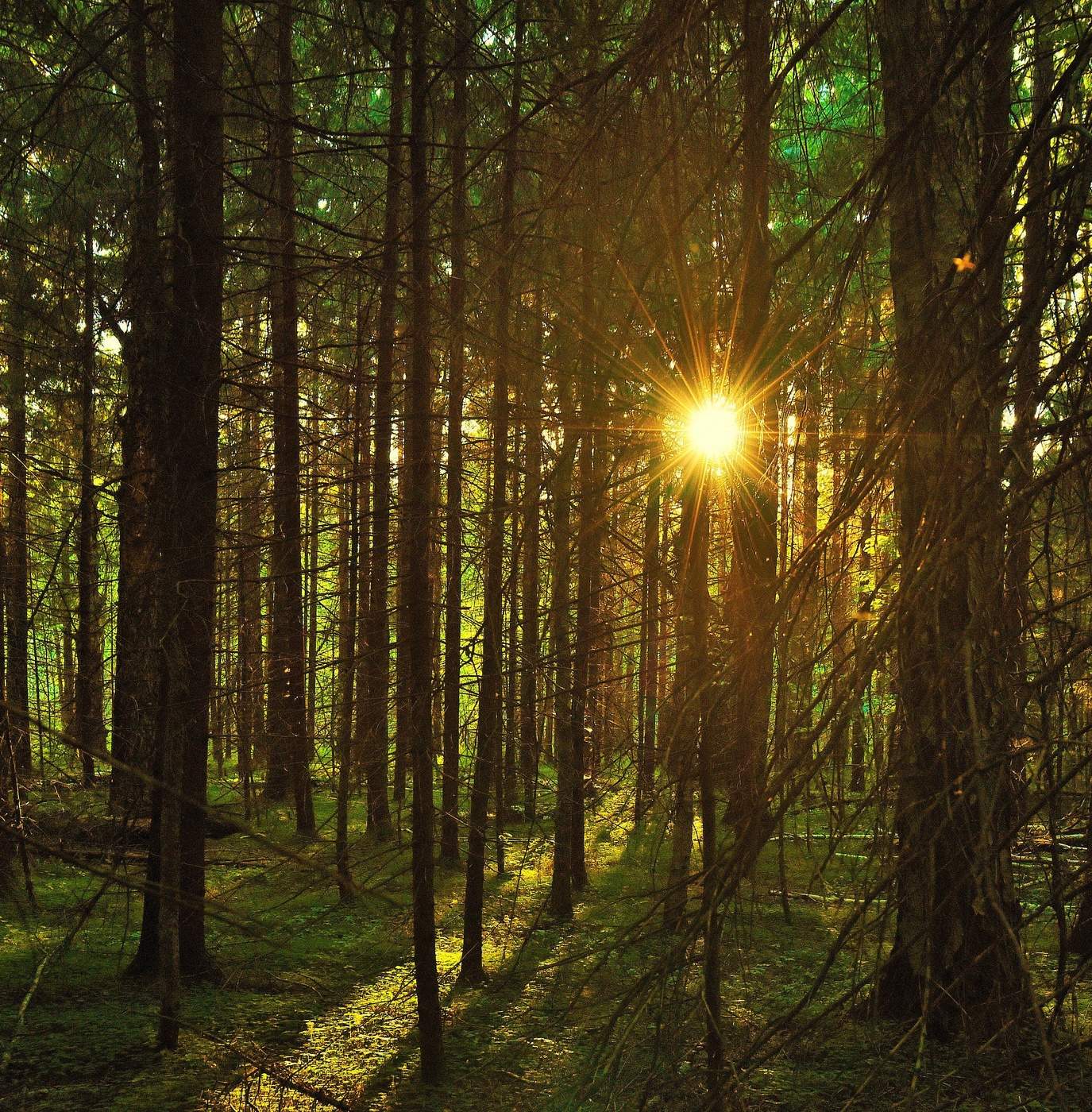 "Пора вечерить ..."