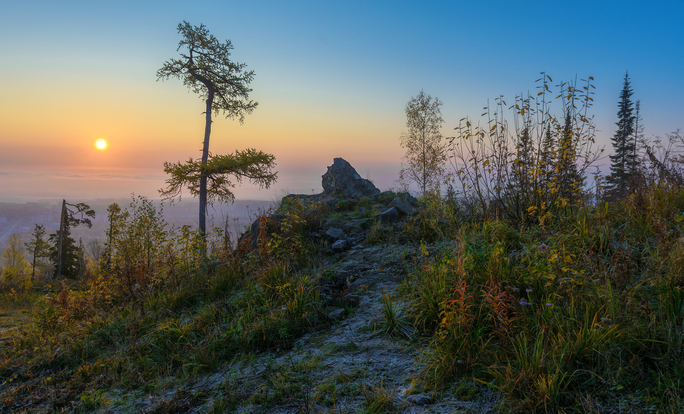 Холодный рассвет