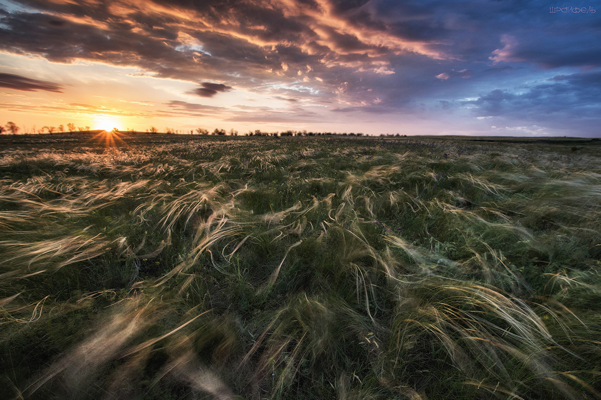 Ветреное утро