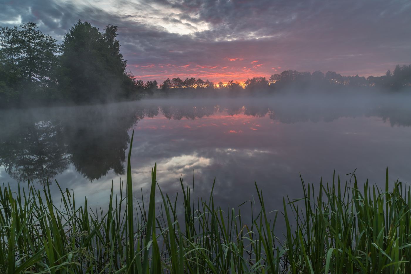 Перед восходом