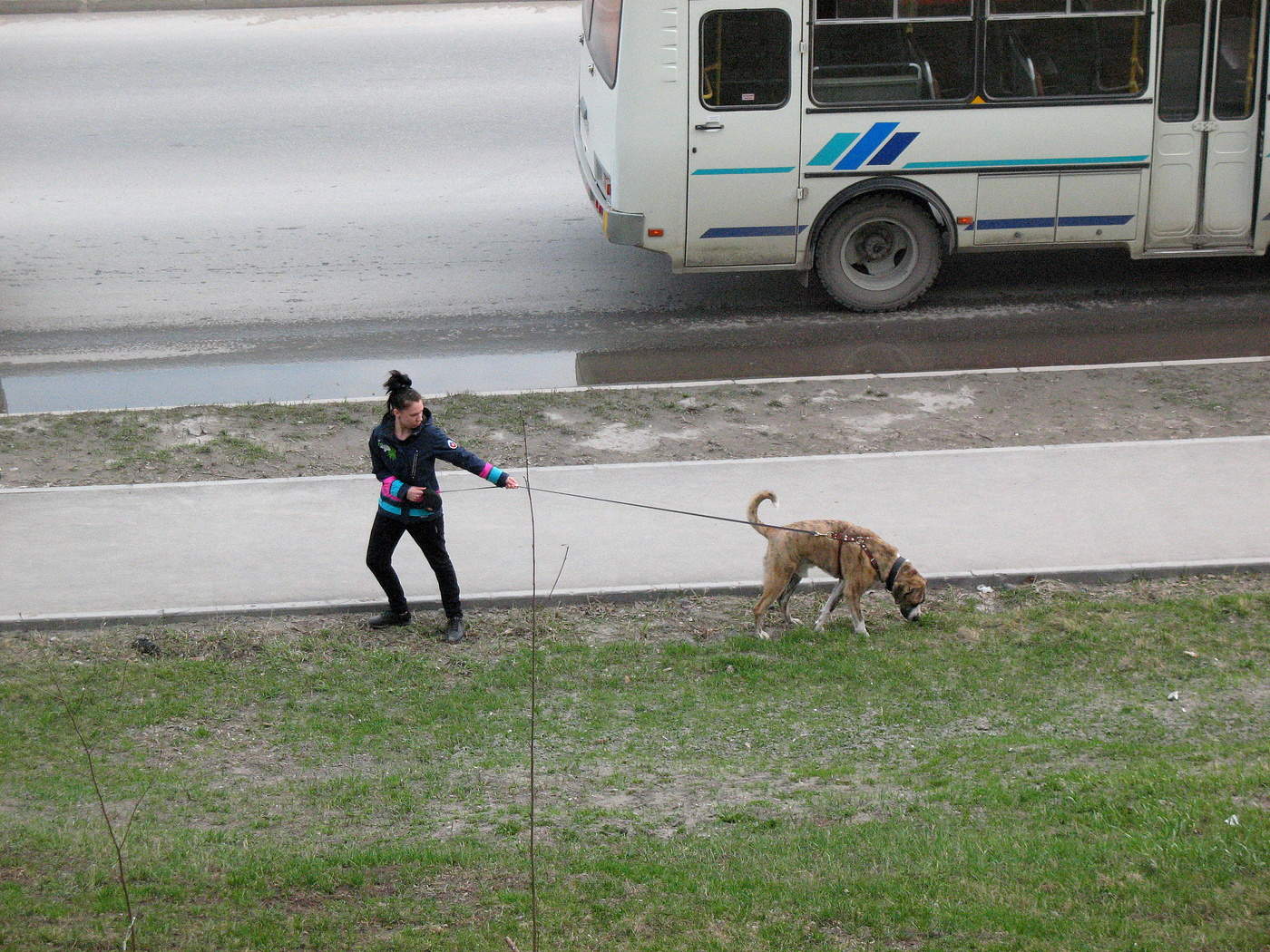 Все очень серьезно