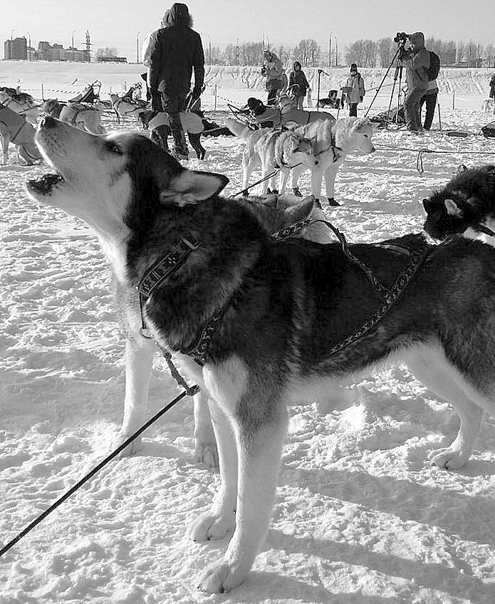 Все очень серьезно