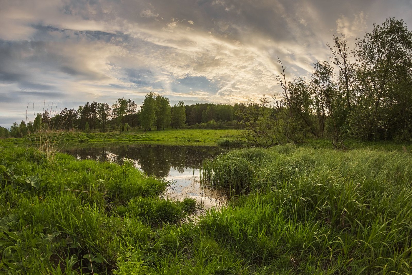 Перед закатом