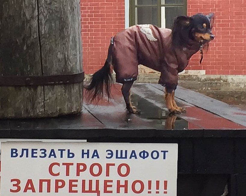 Все очень серьезно