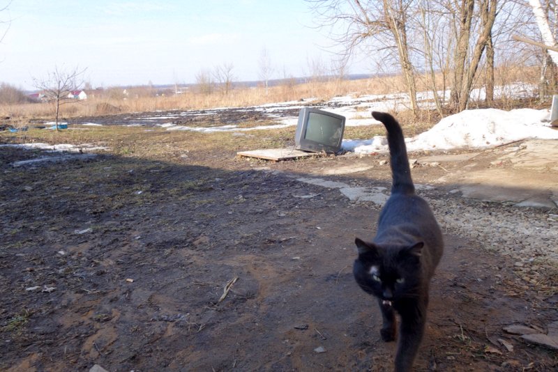 Все очень серьезно