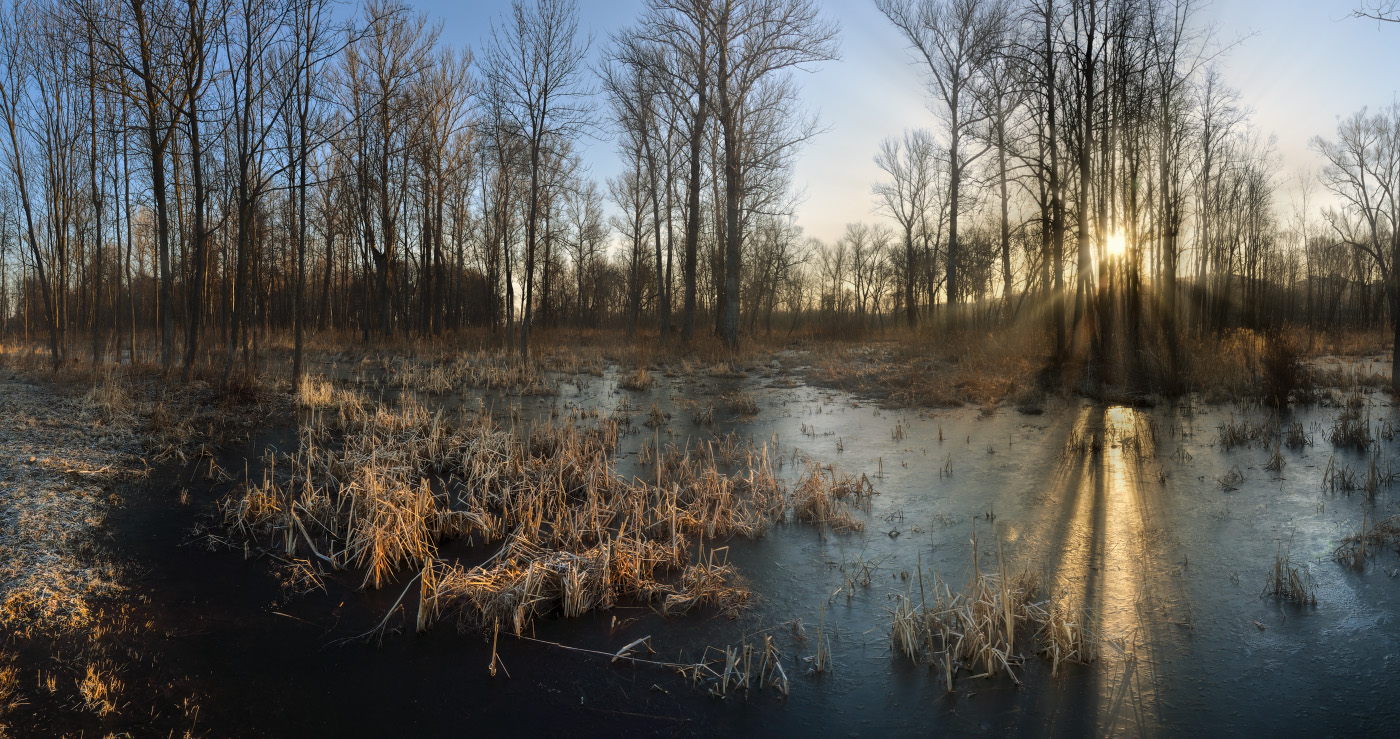 Солнце весеннее лес озарило...