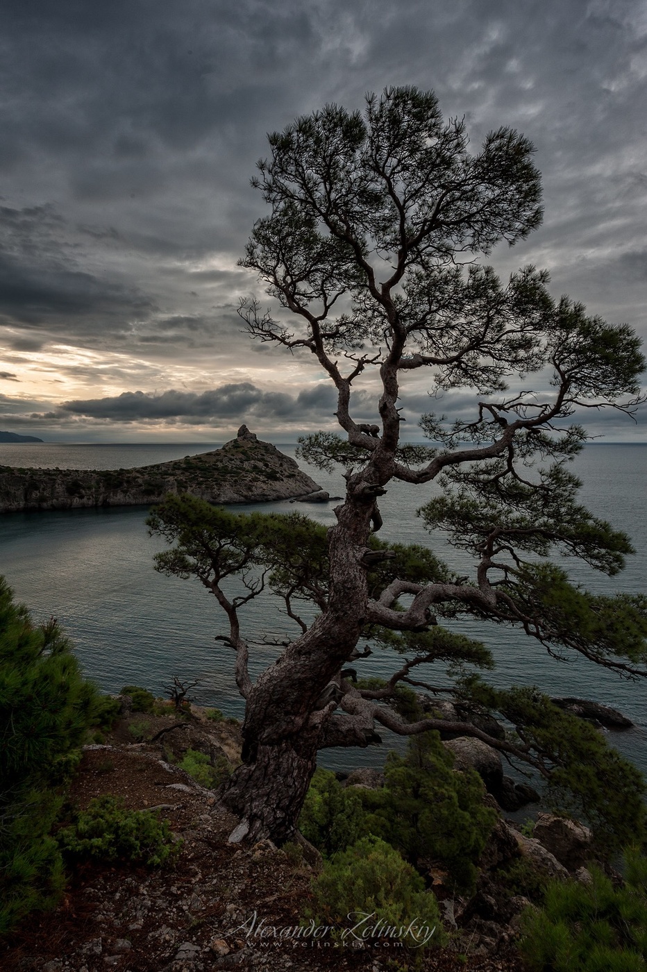 Японские мотивы