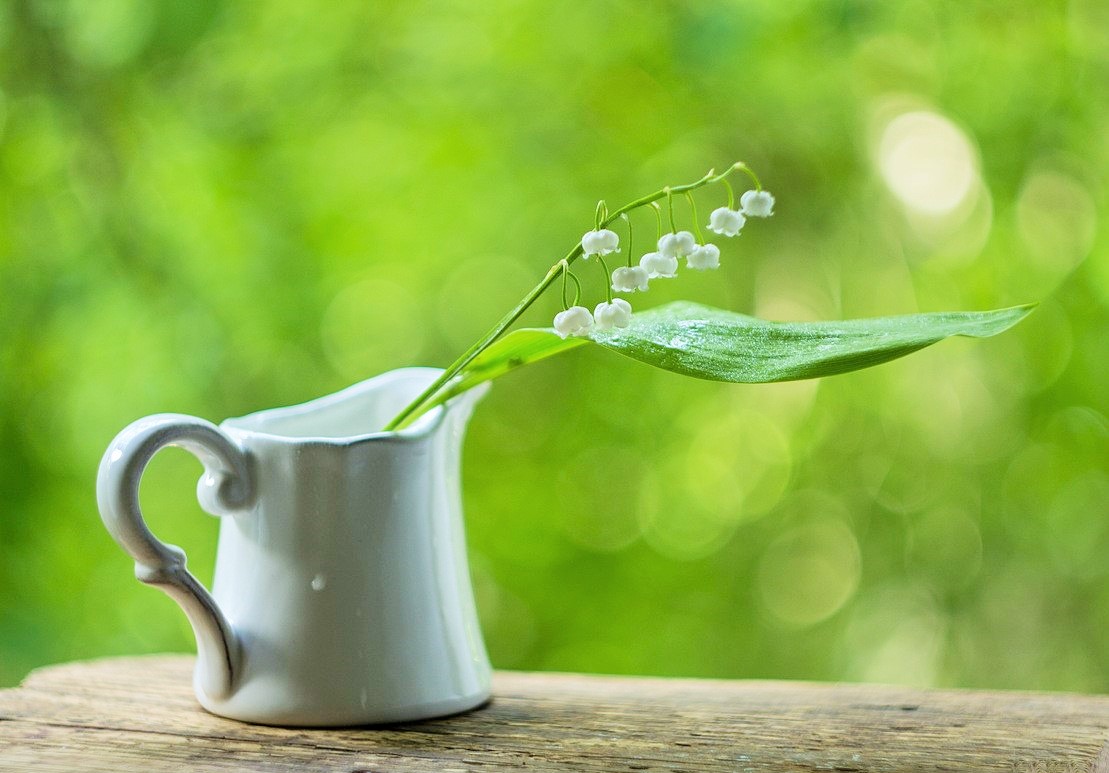 ландыш майский