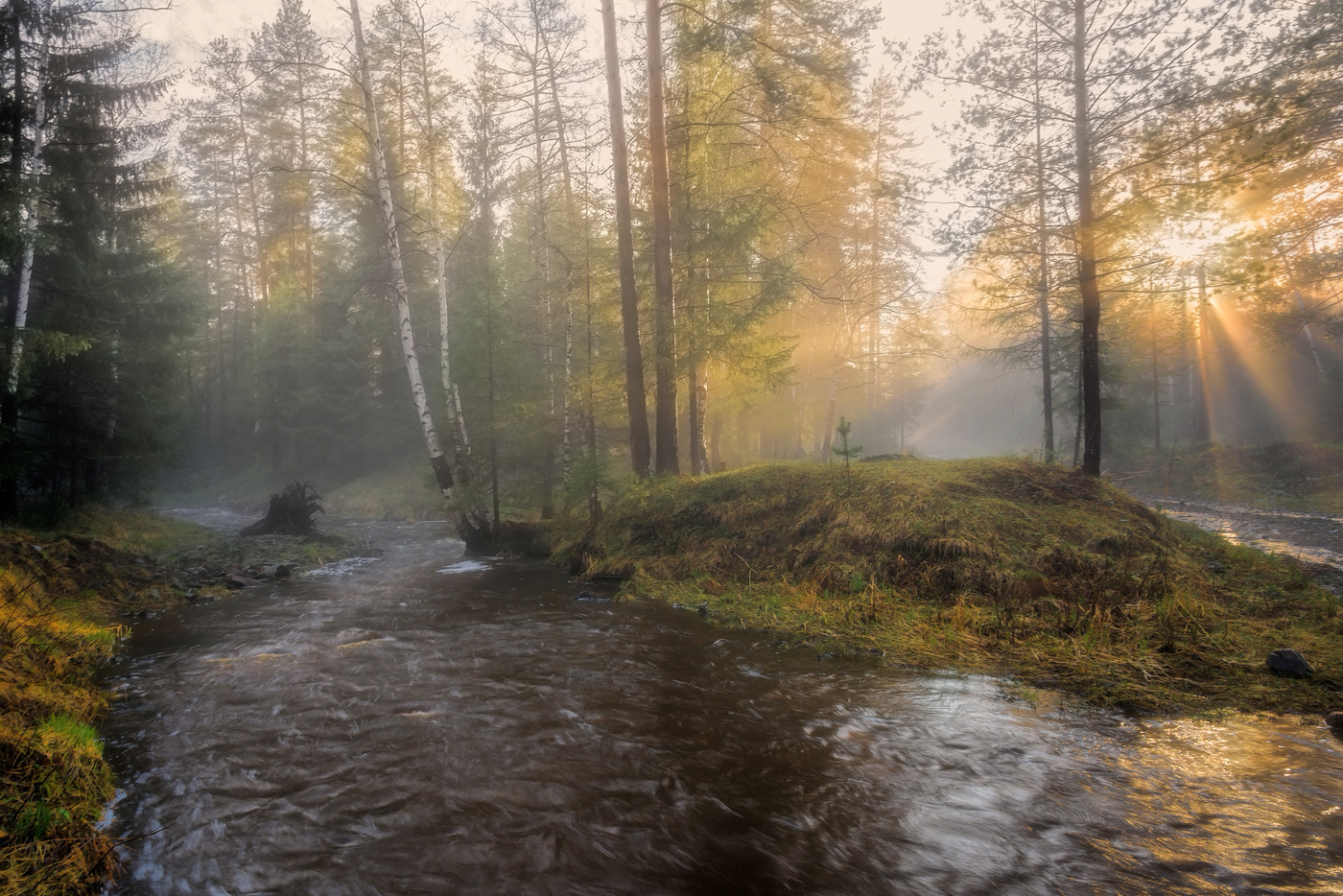 Туманный вечер