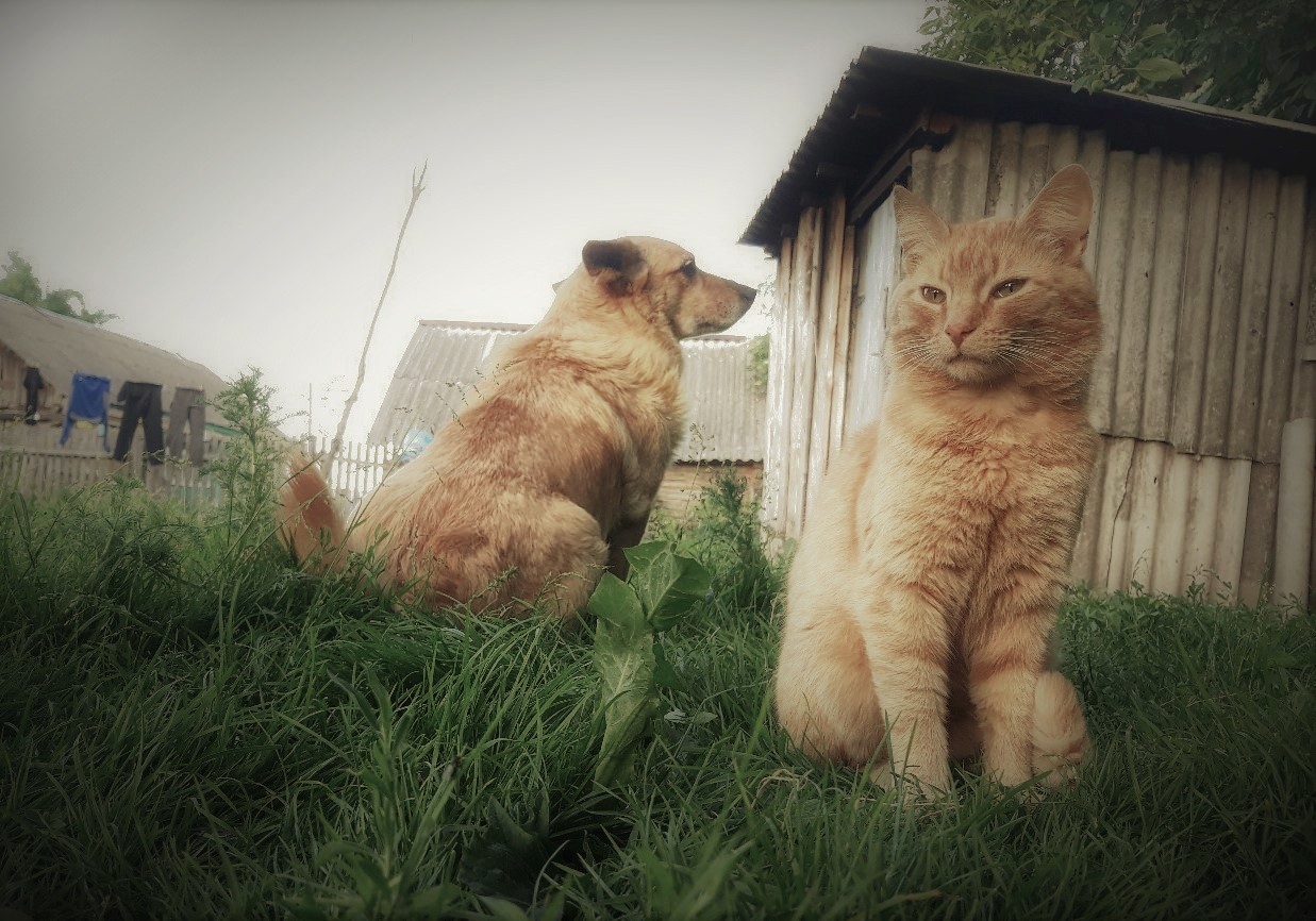 Все очень серьёзно, Кузя!