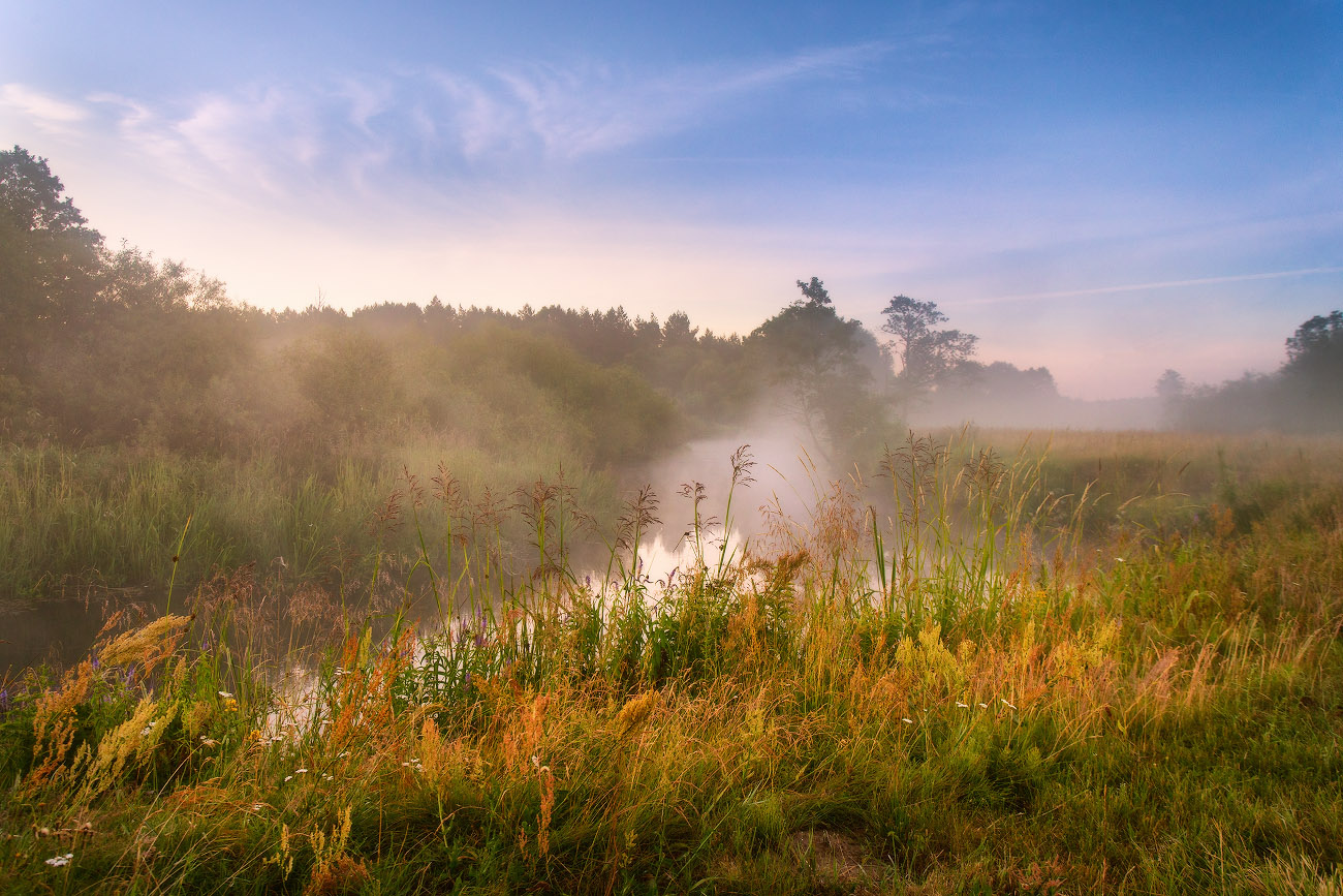 Летнее утро на Усе