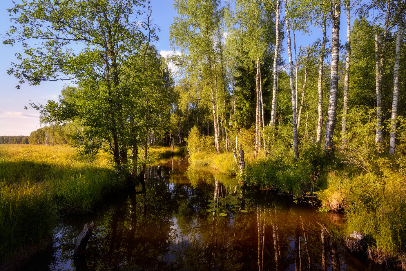 лесная речка