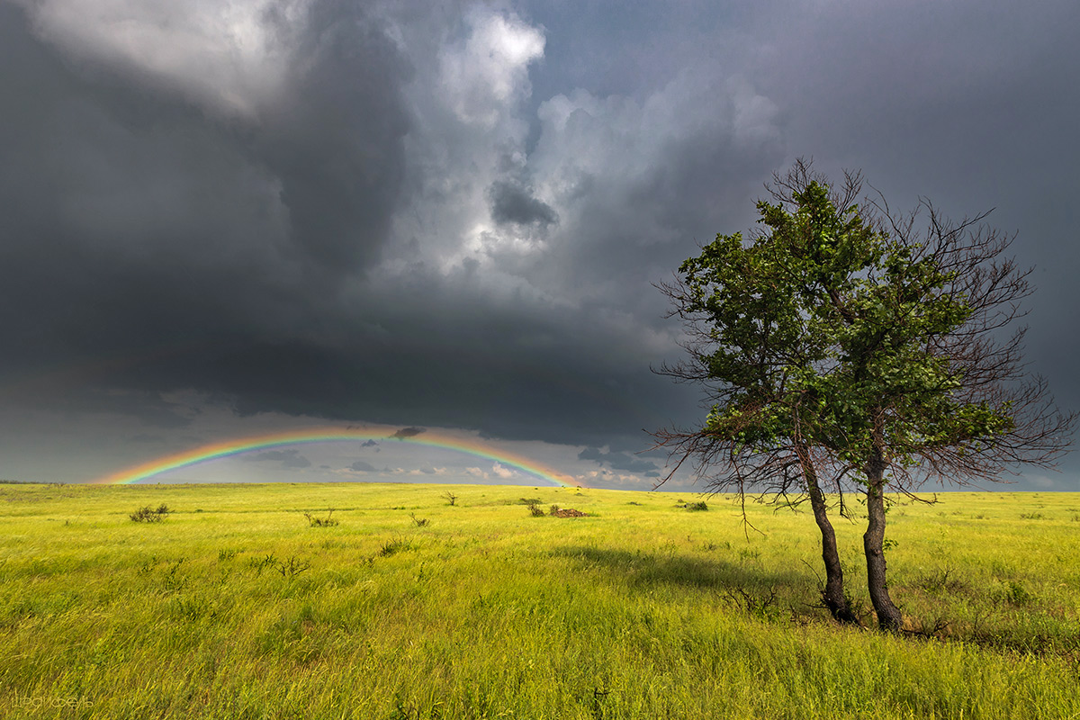 А за бугром - радужно