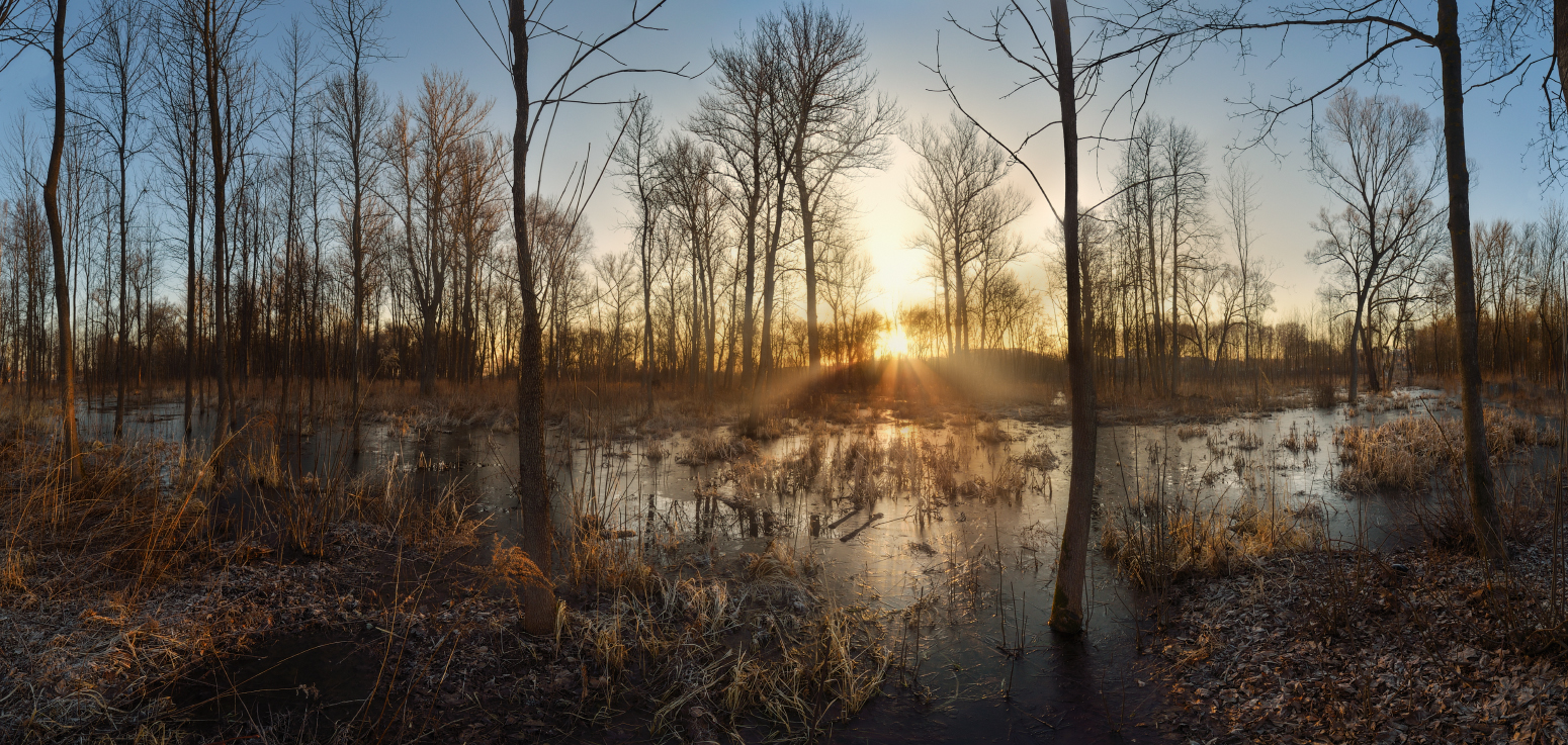 В свете весеннего солнца