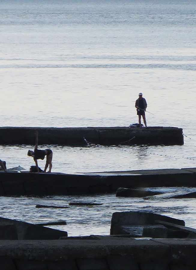 рыбы бывают разные