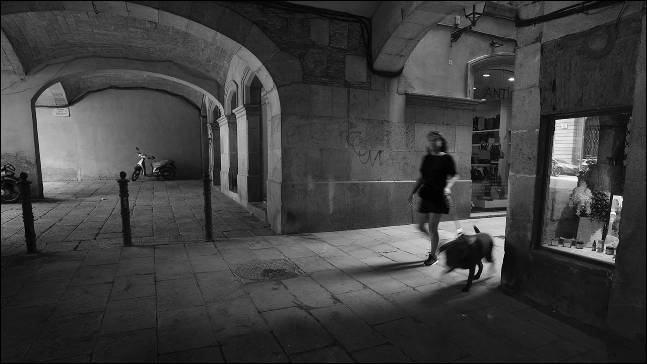 про скутер и пёсика