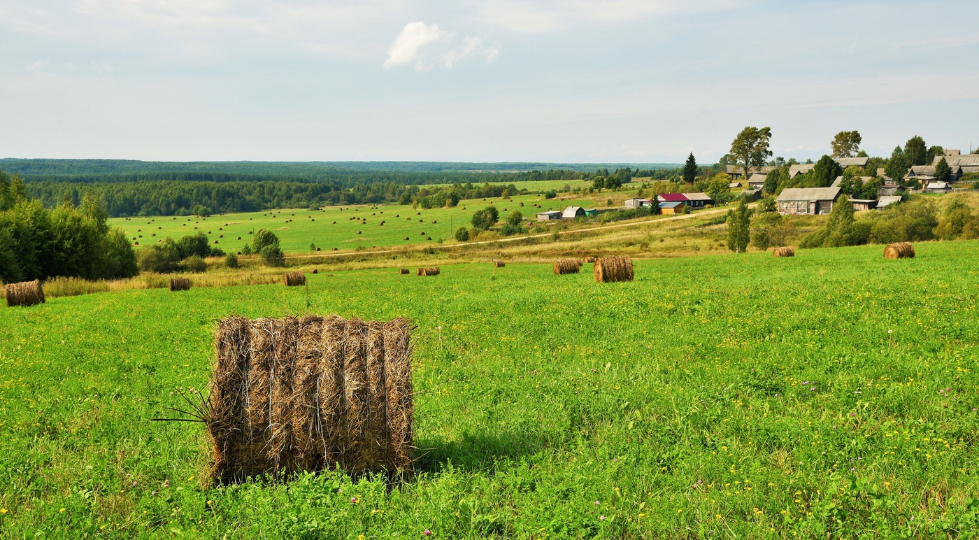 "Ах, лето красное, любил бы я тебя..."