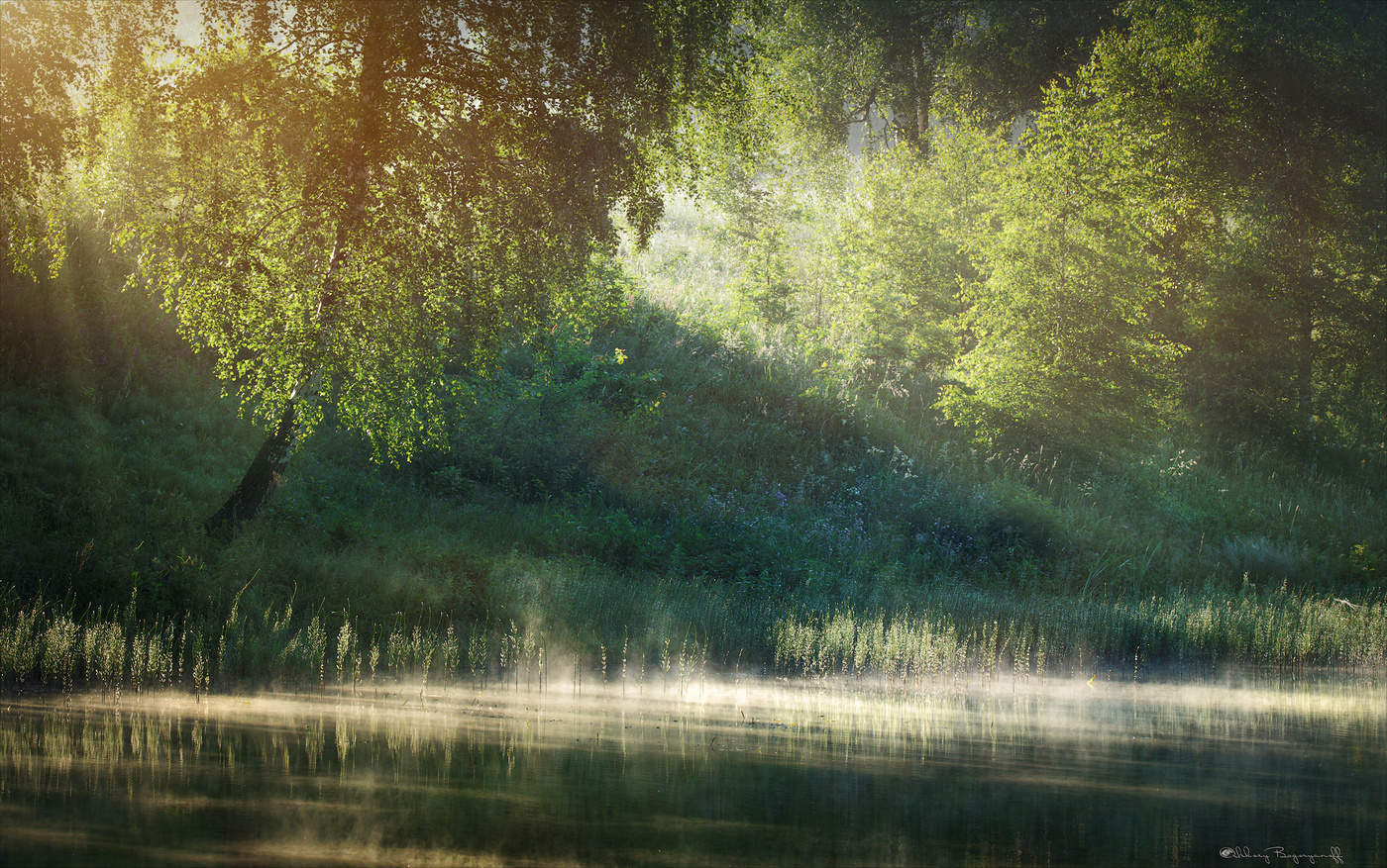 Обрывки рассвета.