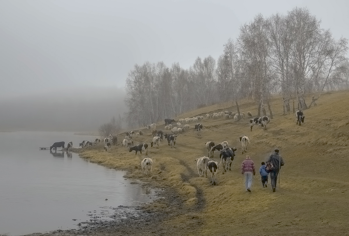 Семейное дело