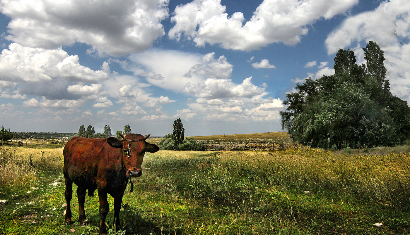 Когда вопросов нет