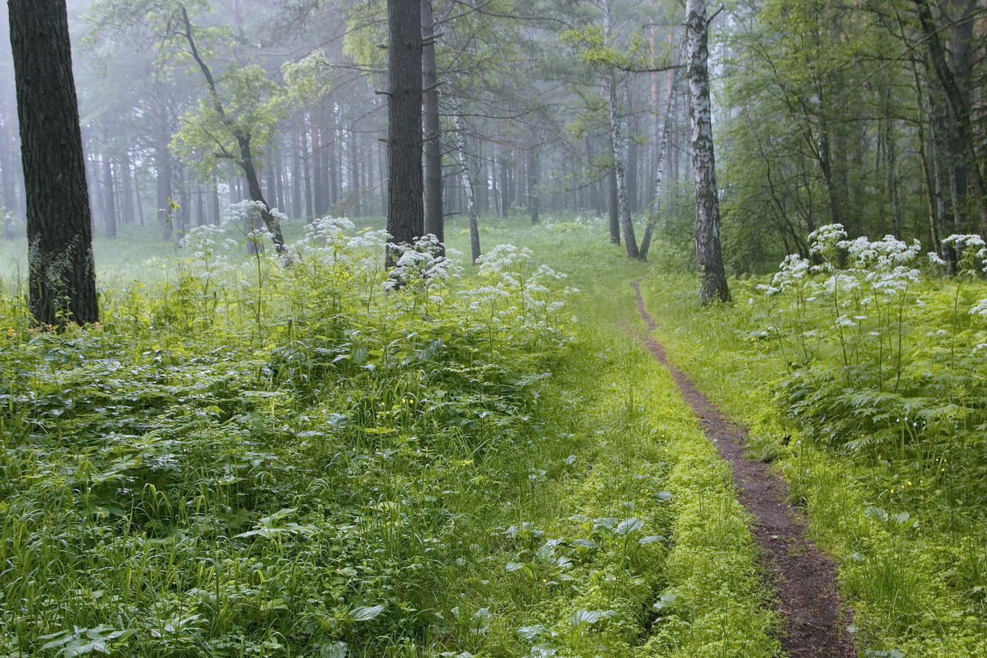 *По стёжке - дорожке**