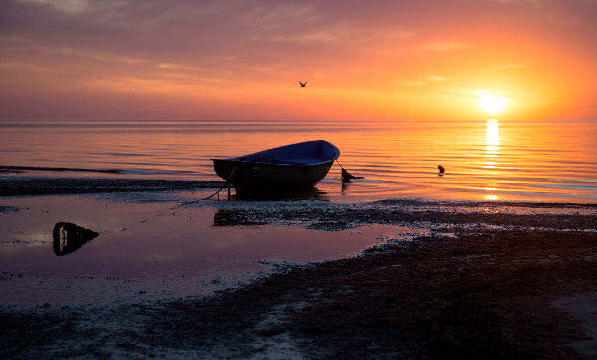 Однажды утром