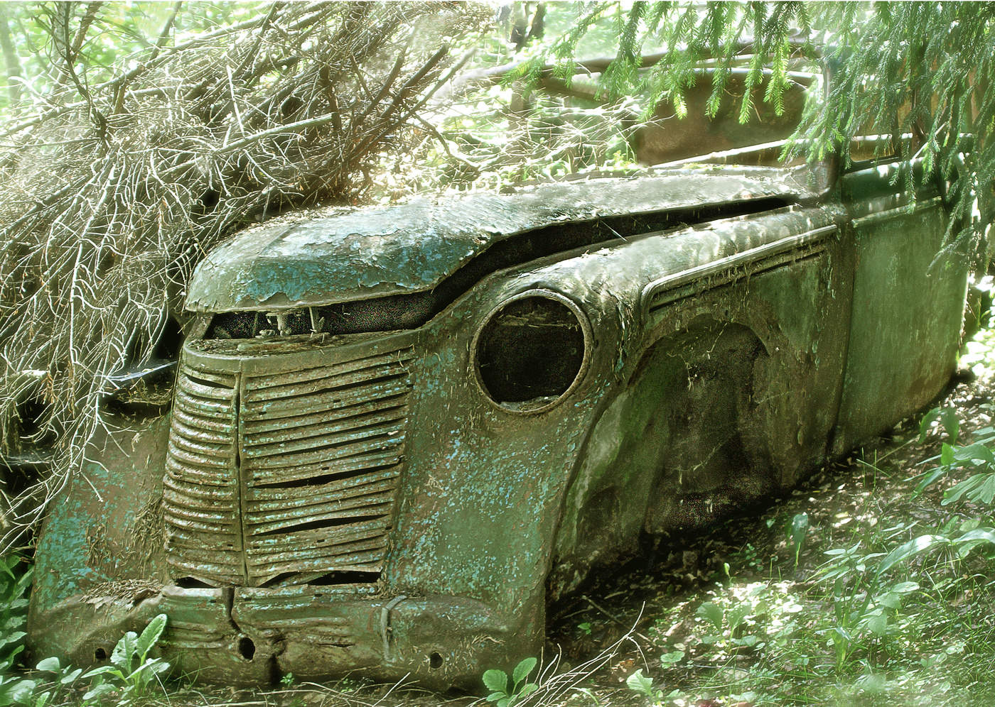 Старый конь