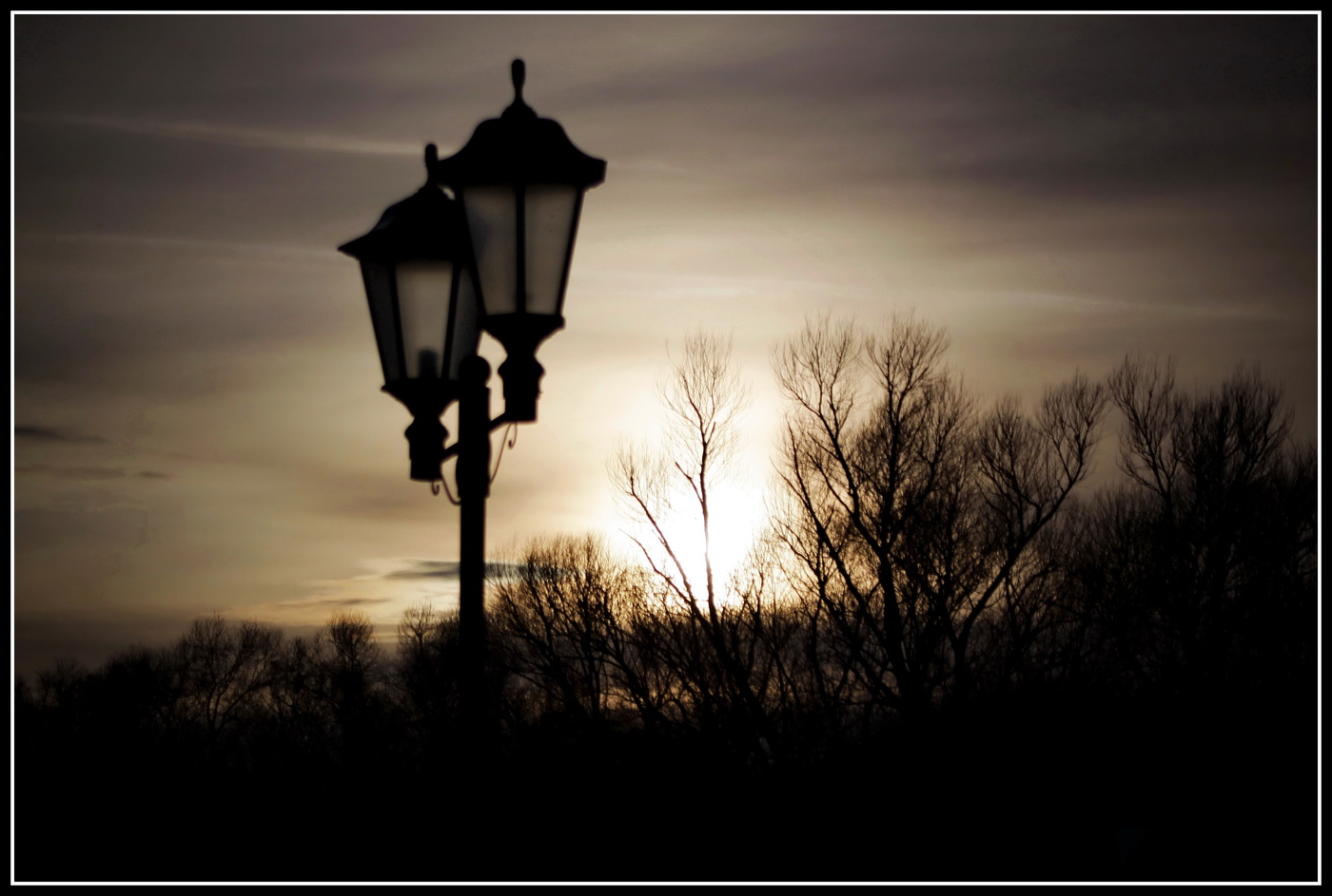 вечерний этюд